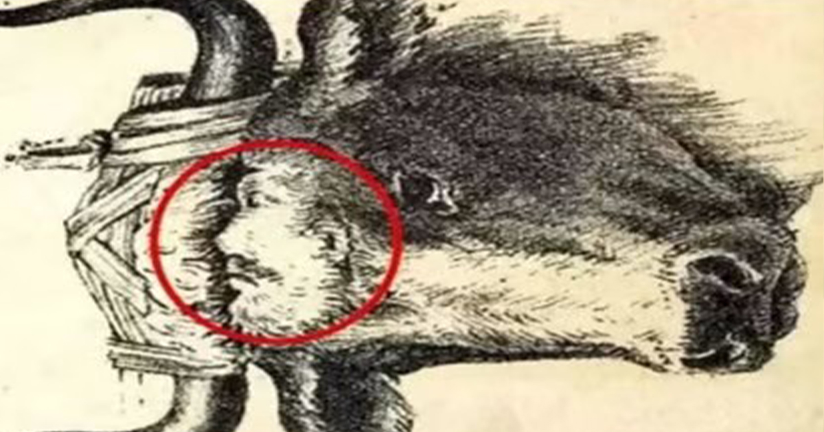 Image 283, , Optical Illusions: ষাড়টির মধ্যে তার মালিক লুকিয়ে রয়েছে, রইল খুঁজে বের করার চ্যালেঞ্জ