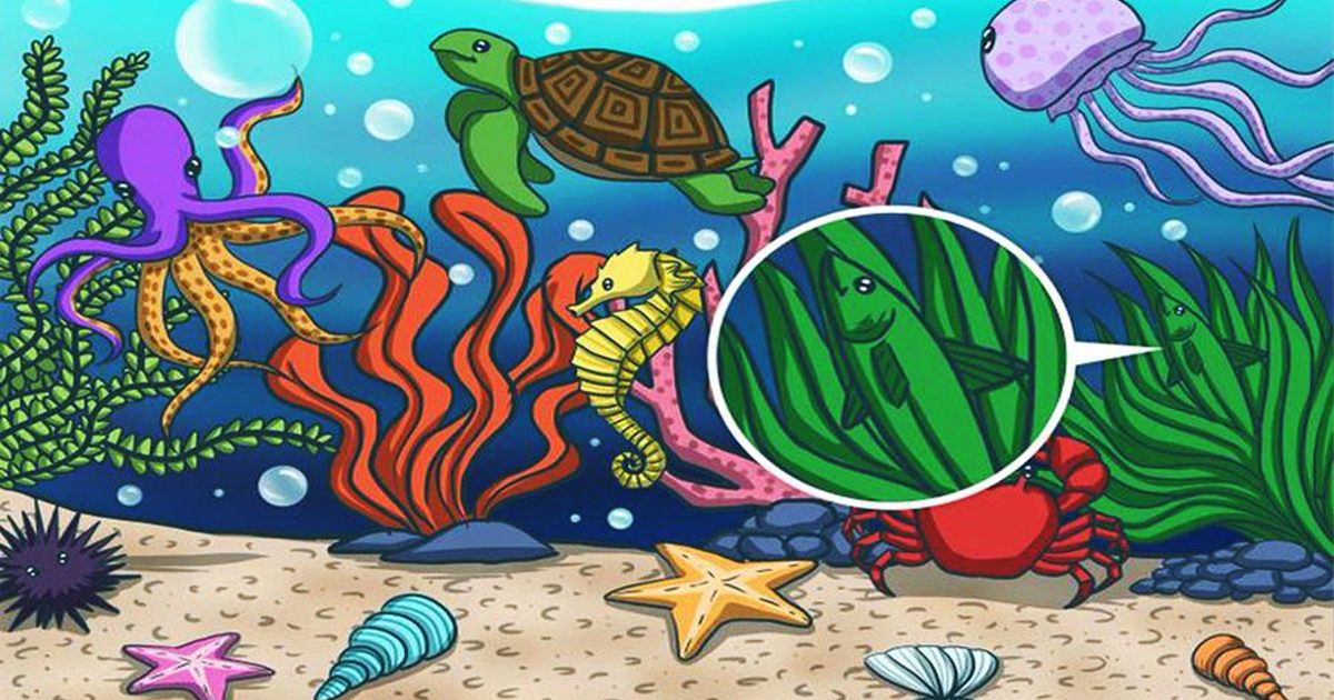 Image 287, , Optical Illusions: এই সমুদ্রে লুকিয়ে রয়েছে একটি সাধারণ মাছ, খুঁজে পেলে আপনি জিনিয়াস